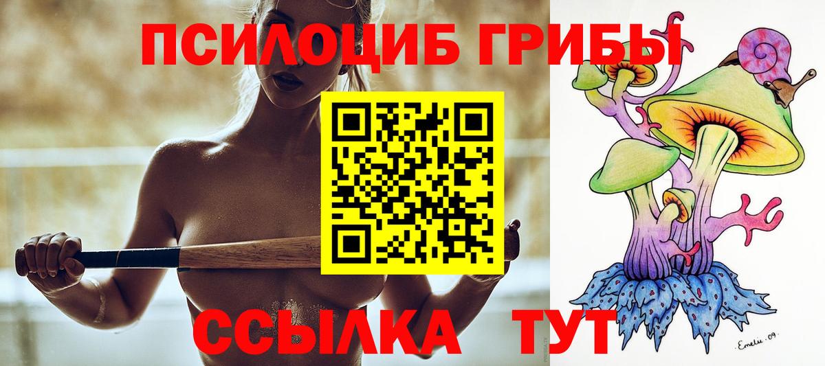 закладка  Вход с VPN  Можайск  Псилоцибиновые грибы Psilocybine cubensis 